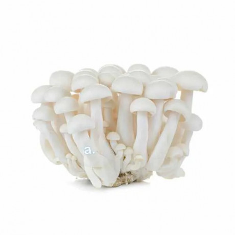 Shimeji mushrooms 150g
